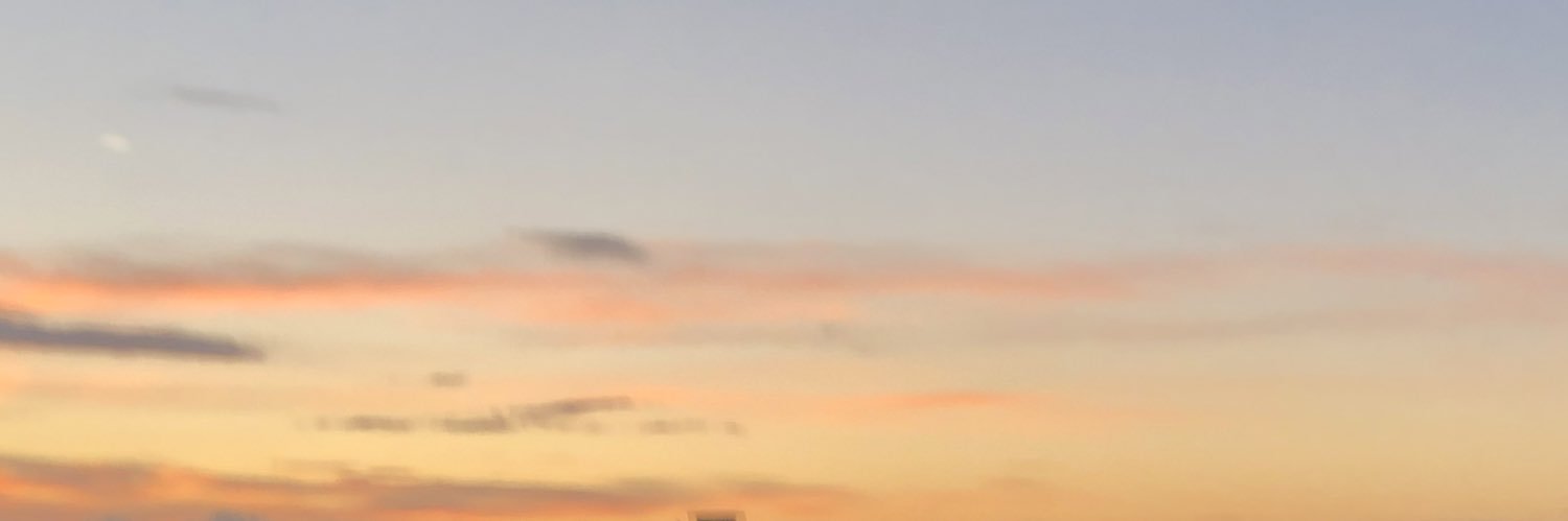 rosiestv's profile banner image