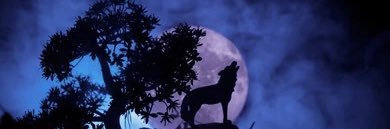 KBailey412's profile banner image