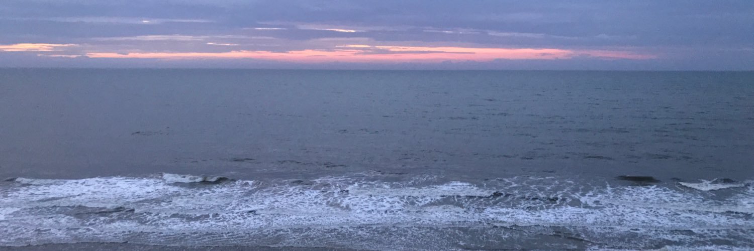 MellyPonz's profile banner image