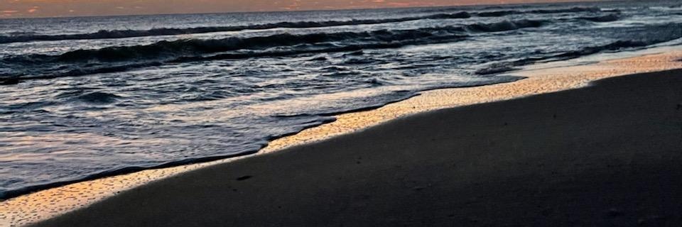 MissMjXO's profile banner image