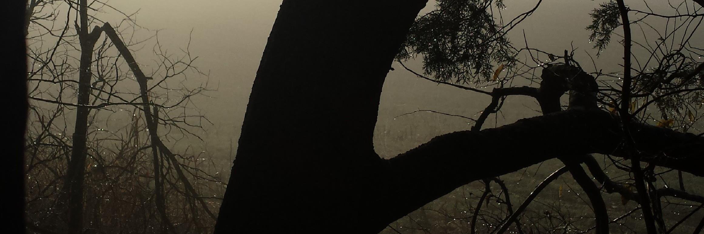 GenWhitetail's profile banner image