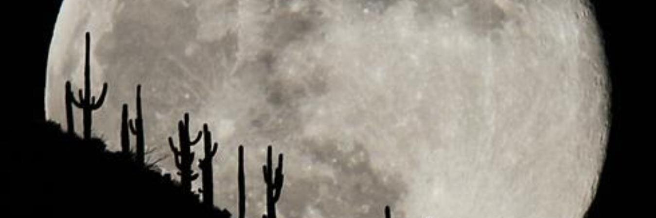 BonesBethany's profile banner image