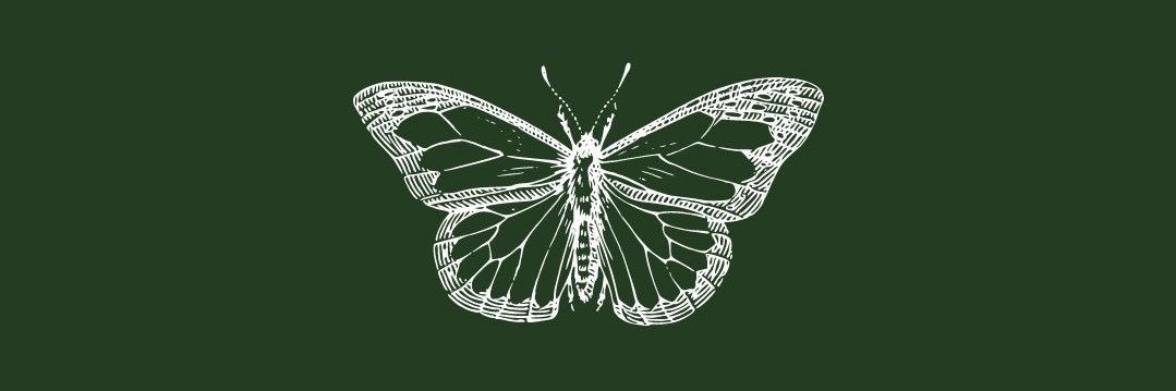 RenekaIngram's profile banner image
