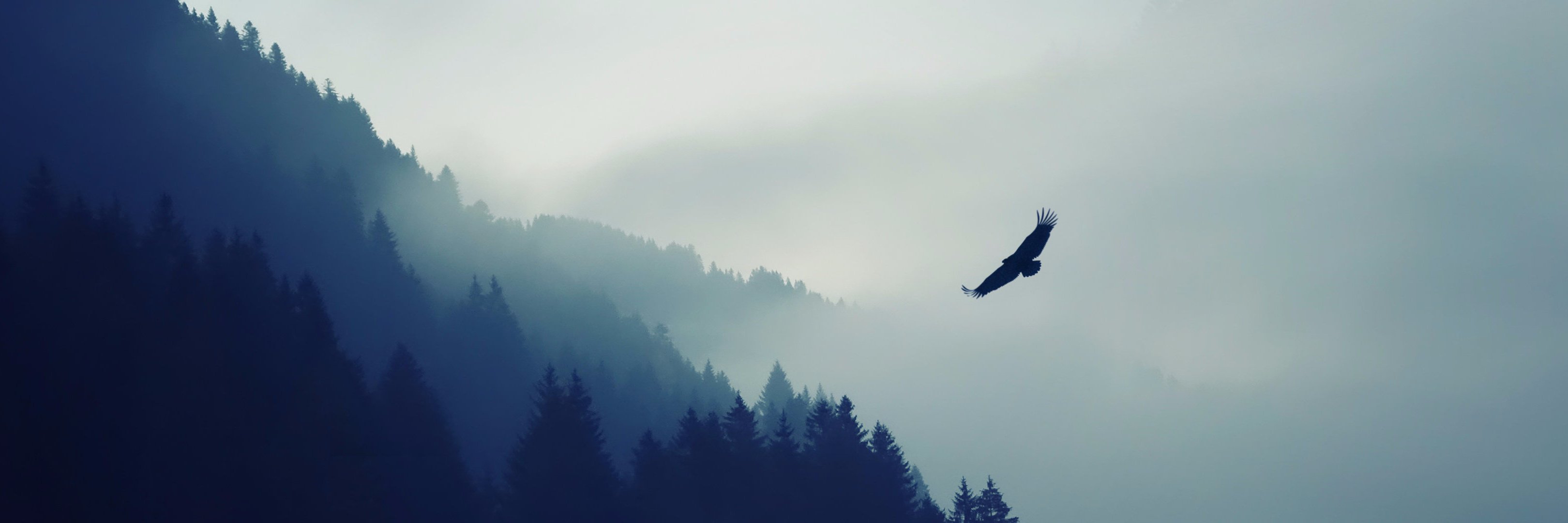 Arkenor_'s profile banner image