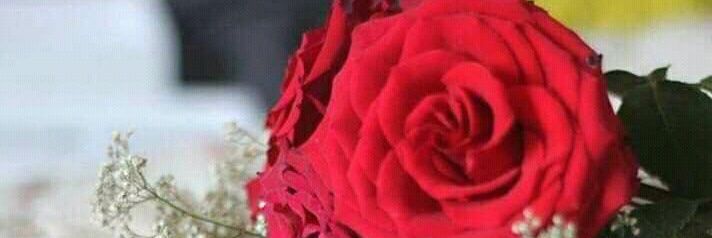 Samia_speaks's profile banner image
