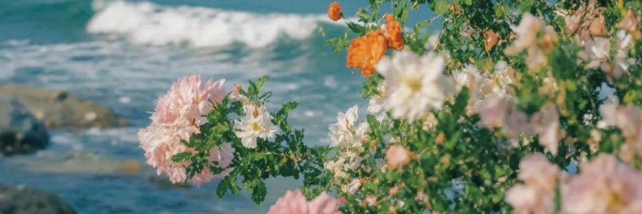 BeMeISbeMe ⸆⸉💋 banner