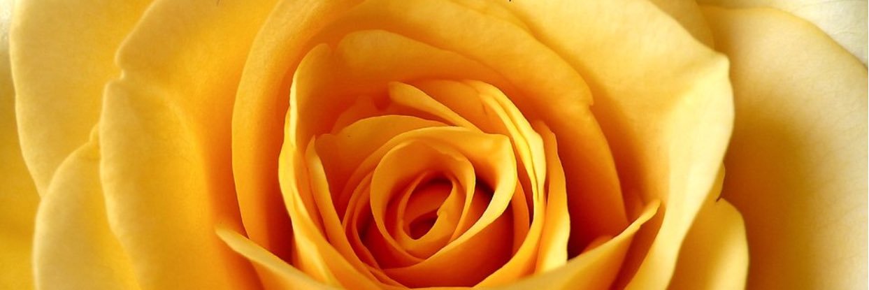 Color_Me_Slim's profile banner image