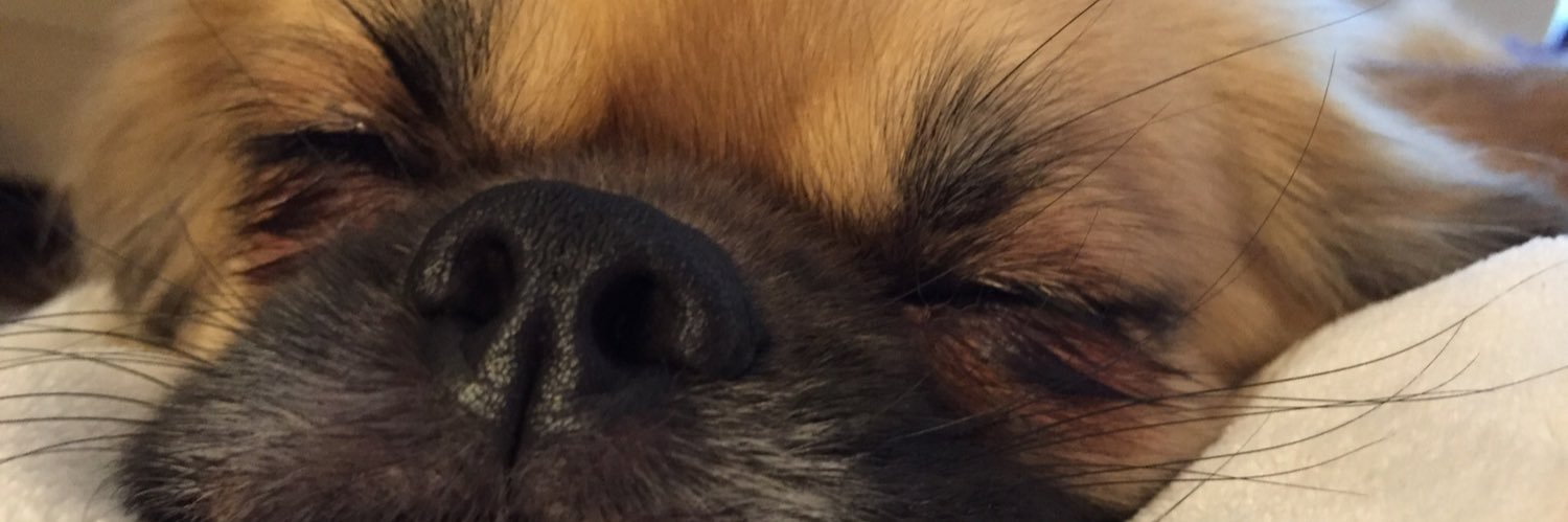 mquaroni's profile banner image