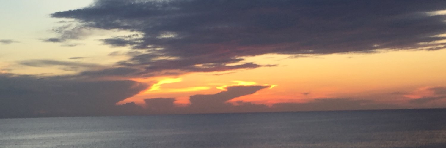 HeatherDeLand1's profile banner image