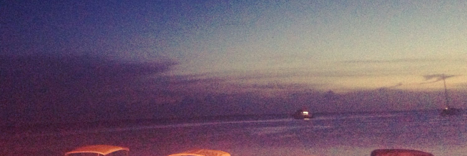 lguzman21's profile banner image