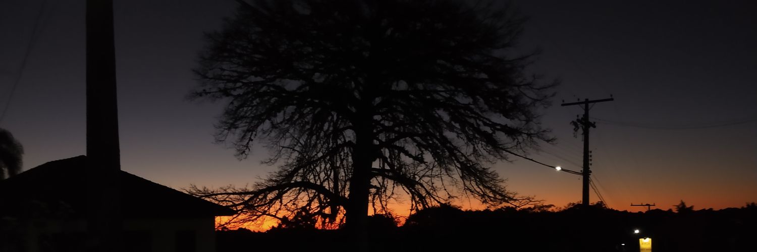 felipe🌲 banner