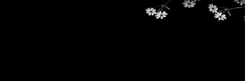 Decast_ronaut's profile banner image