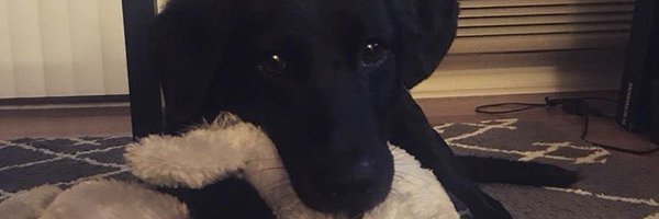 C_Garav Profile Banner