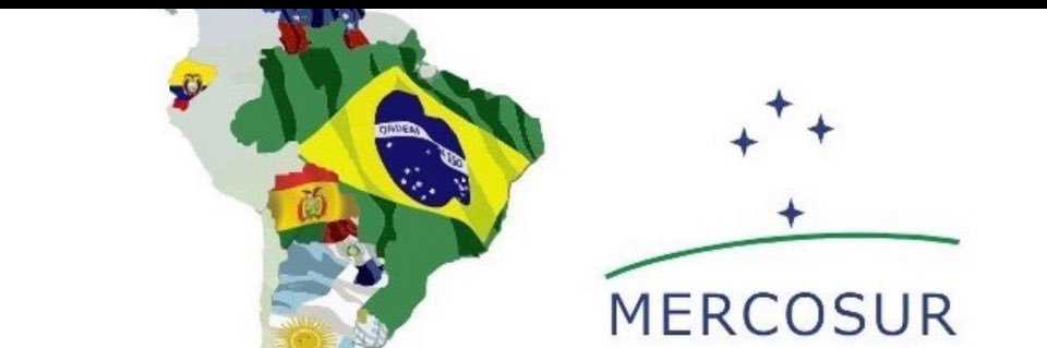 Carlos Castañeda banner