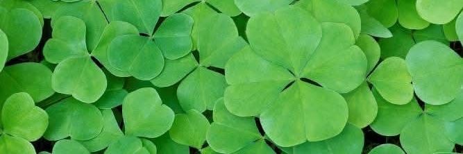 Digital Space Monkey banner