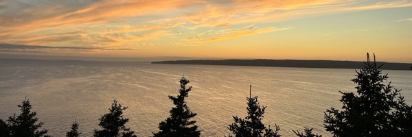 GillianKolla Profile Banner