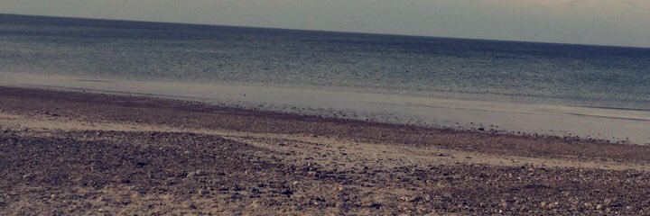 brittyrice's profile banner image
