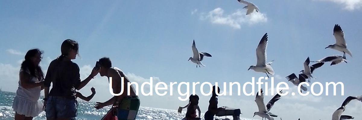 undergroundfile banner