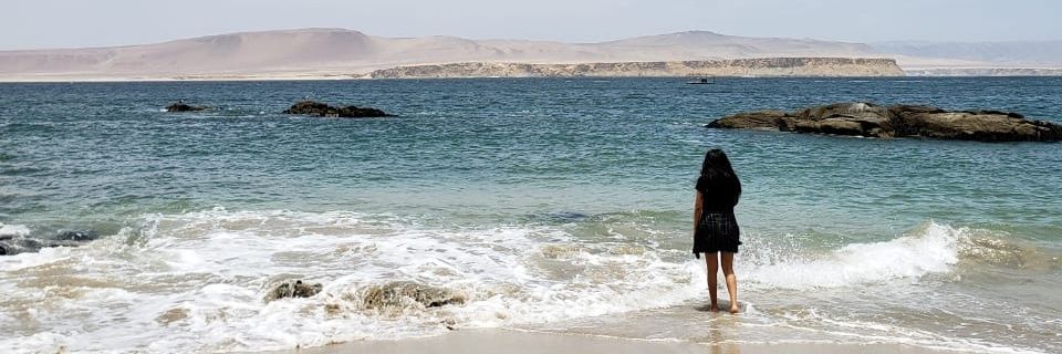 fatima_masco's profile banner image