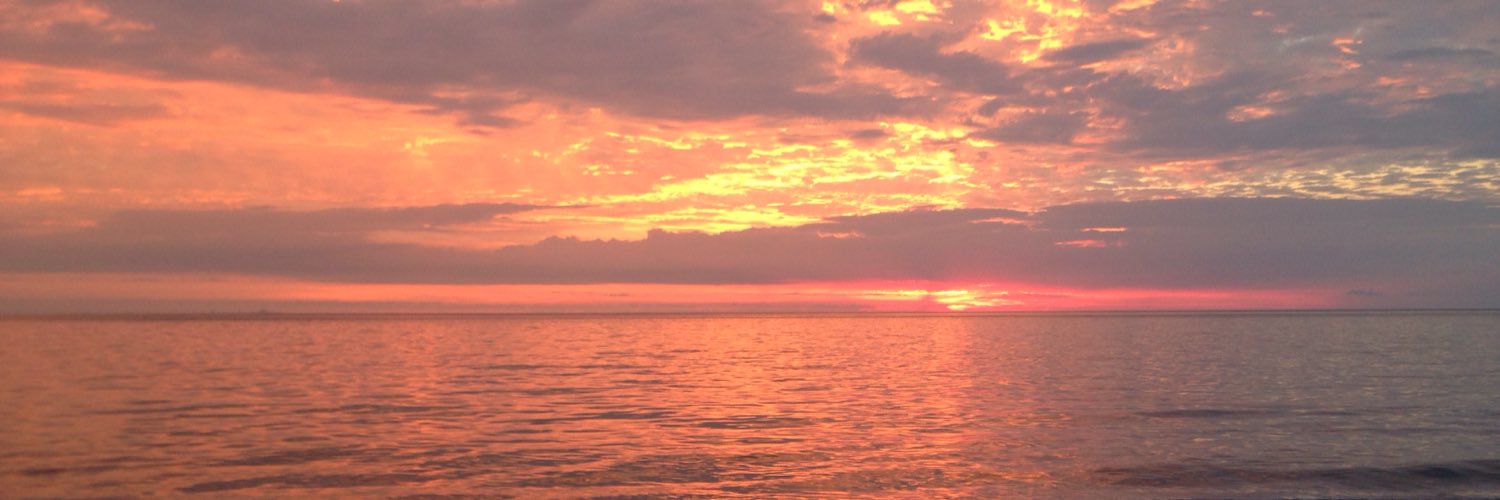 cydneycrerar's profile banner image