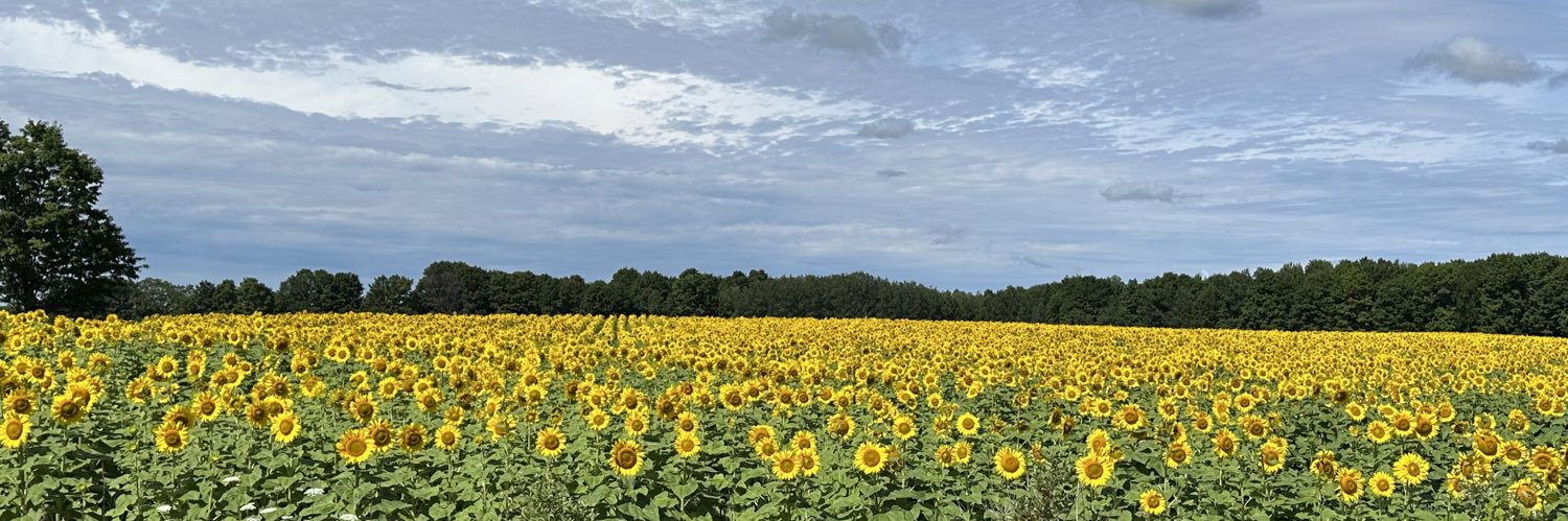 hannrogge's profile banner image