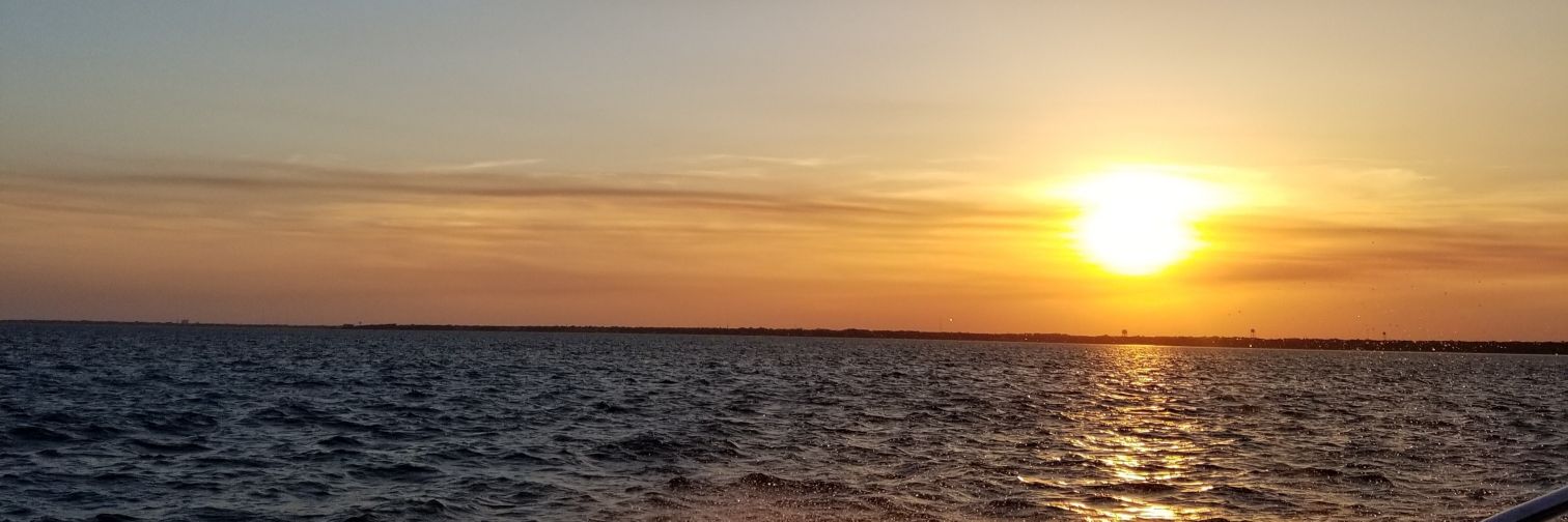 Coko♍️ 🖤🖤🖤 banner