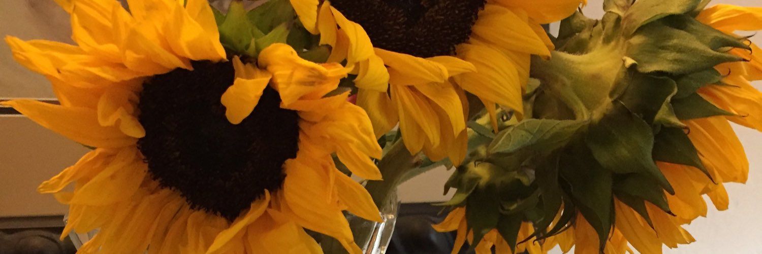 PeaceCat_'s profile banner image