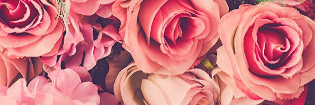 tiannasmith07's profile banner image