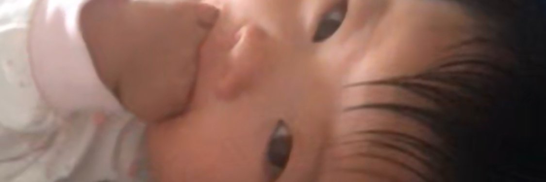 wang9164@gmail.com banner