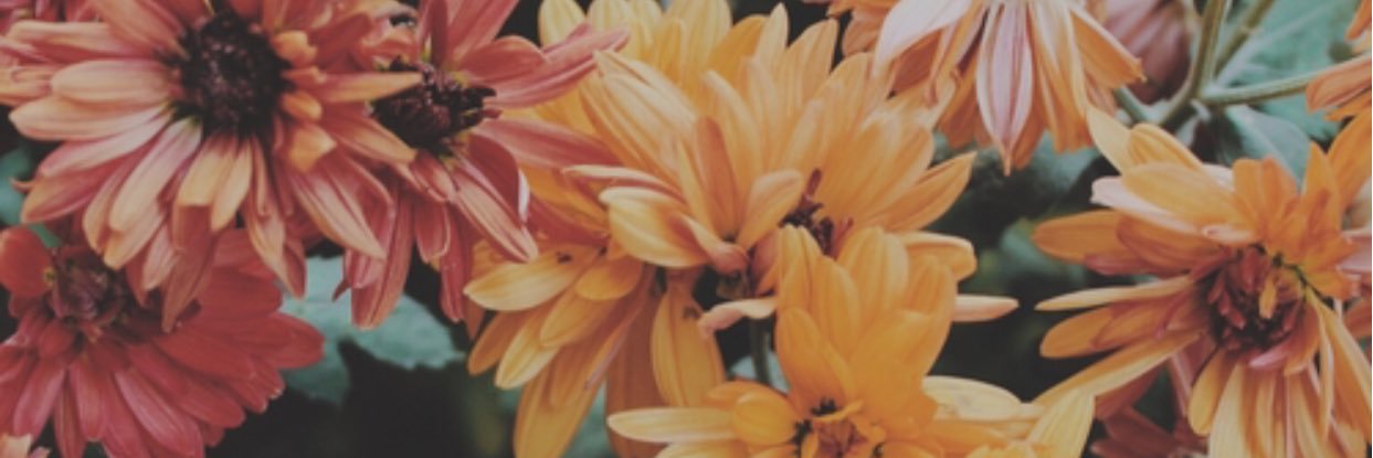 lexusWynn's profile banner image