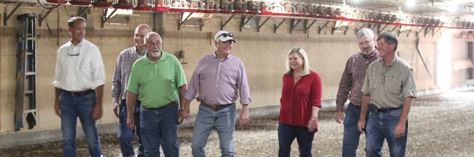 Twinkle Andress Cavanaugh banner