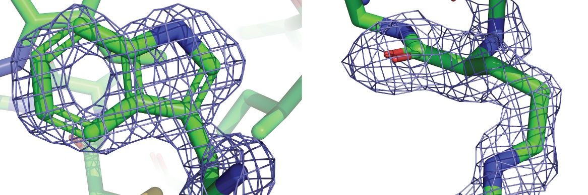 millerbiochem's profile banner image