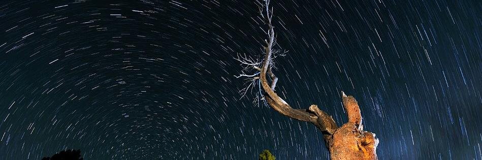 milestotch's profile banner image