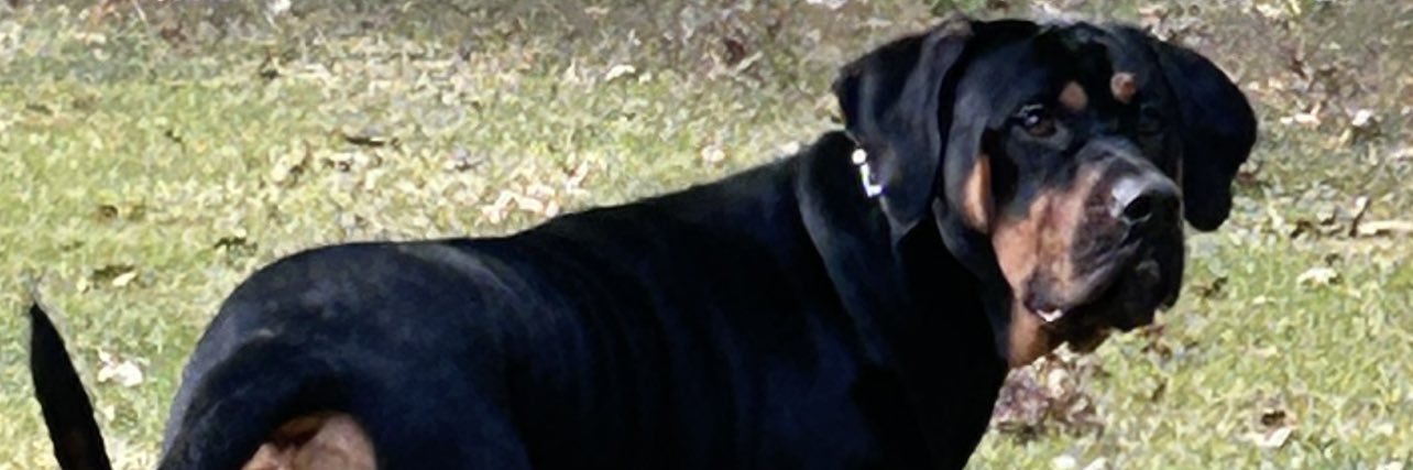 JoshVTwo's profile banner image