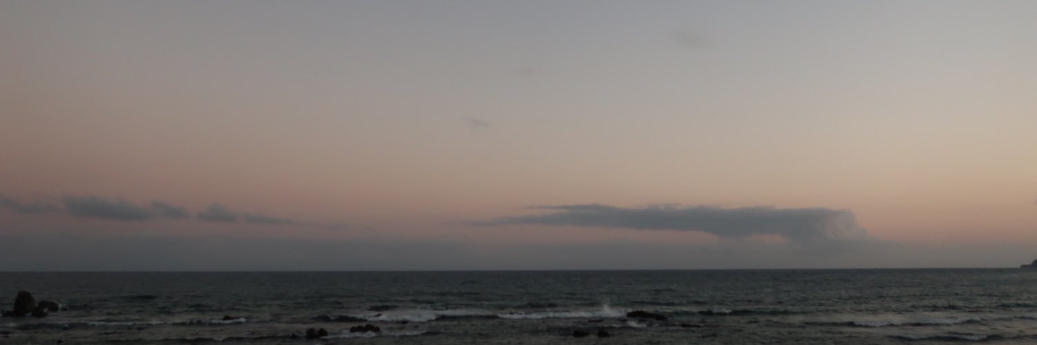 BirdyVodga's profile banner image