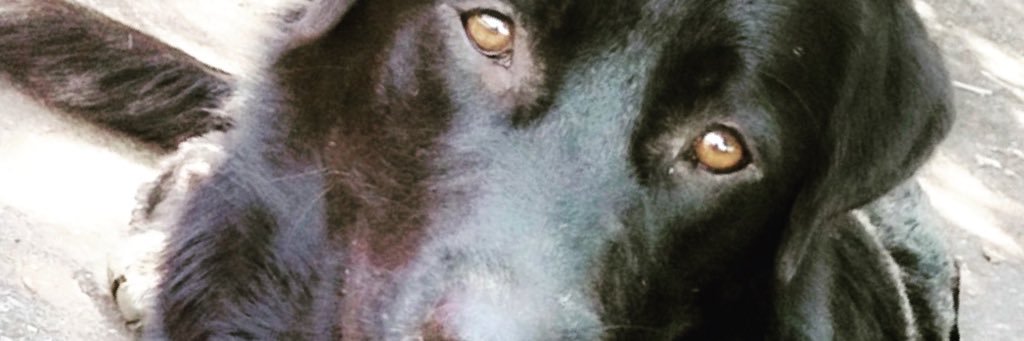 johnnnboy44's profile banner image