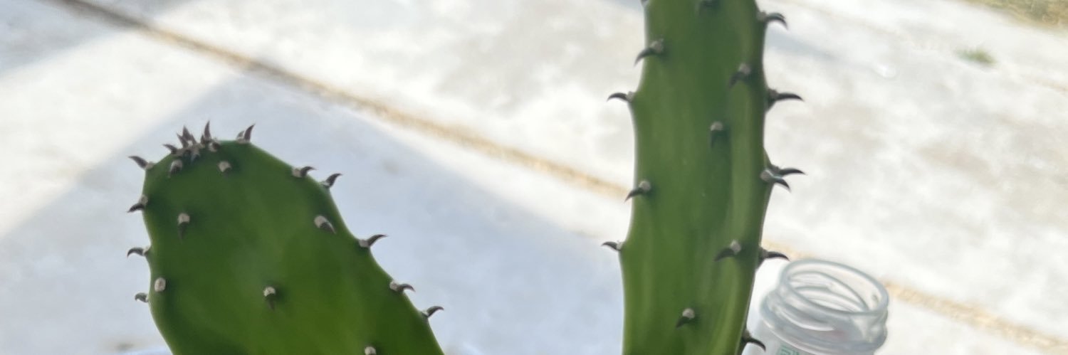 RandallParkerJr's profile banner image