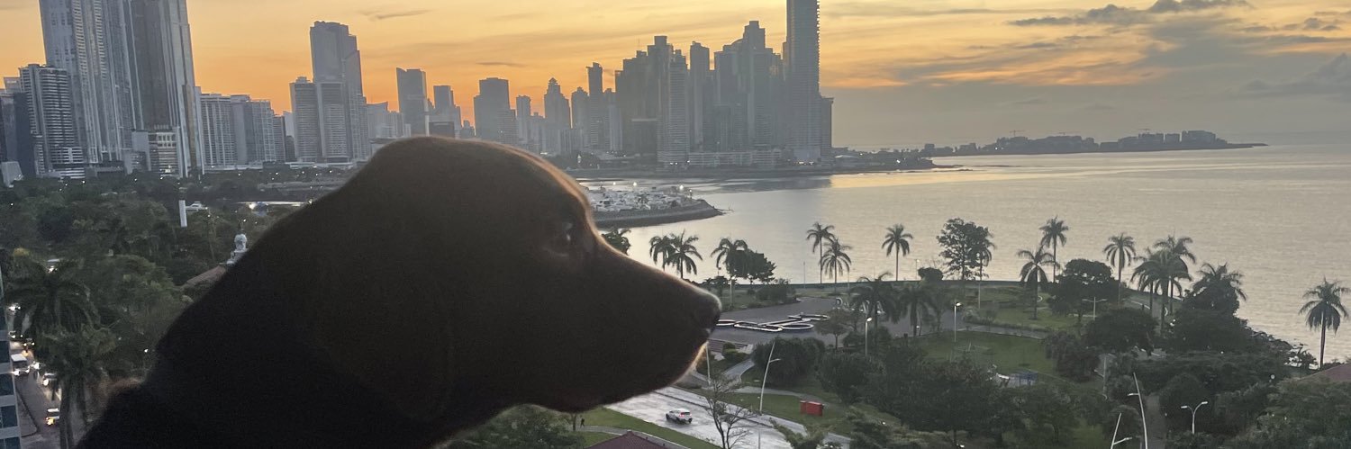 josedavidchi's profile banner image