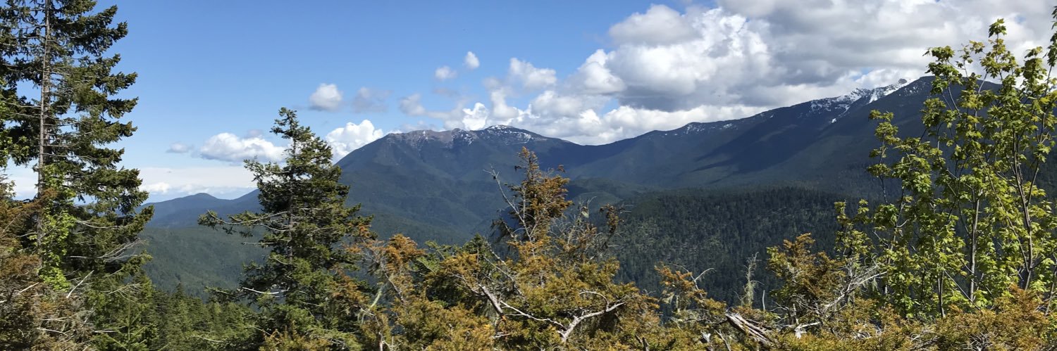 kelseabella's profile banner image
