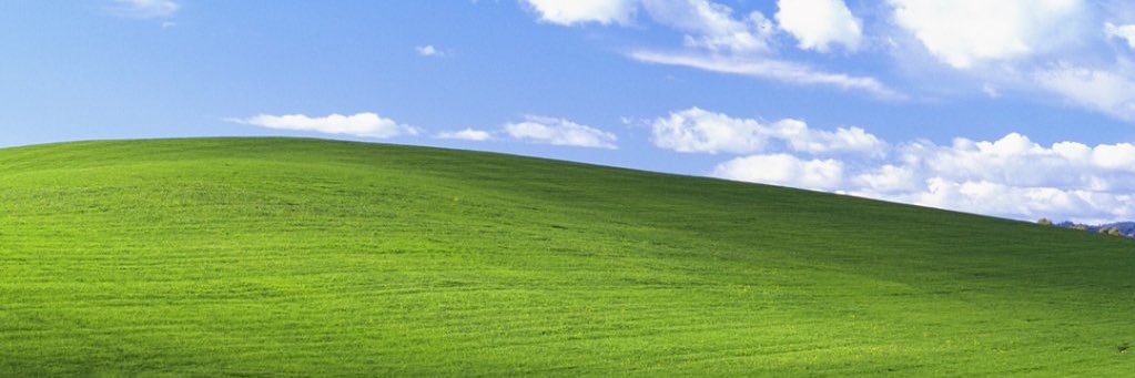 probablynottara's profile banner image