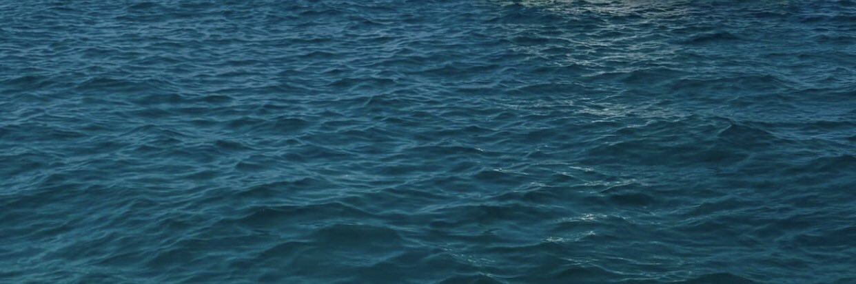 lbichiyal's profile banner image