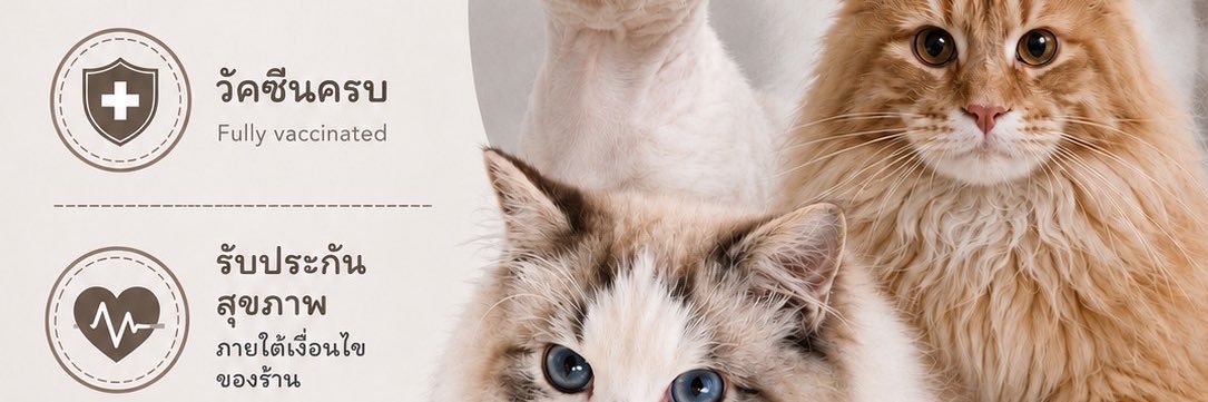MeentaikoCatTH's profile banner image