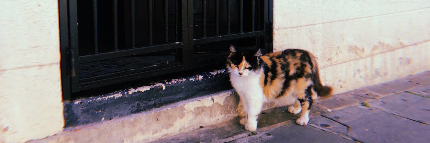 Kenz643's profile banner image