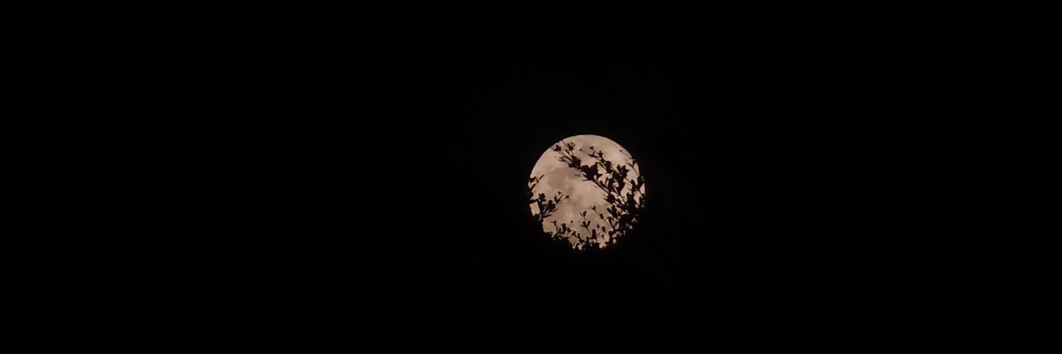 potchtato's profile banner image
