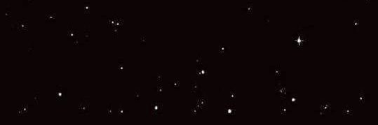 palomabbeatriz's profile banner image