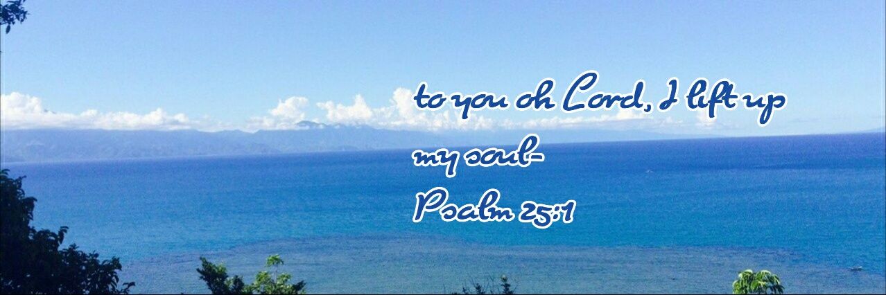 november rain banner