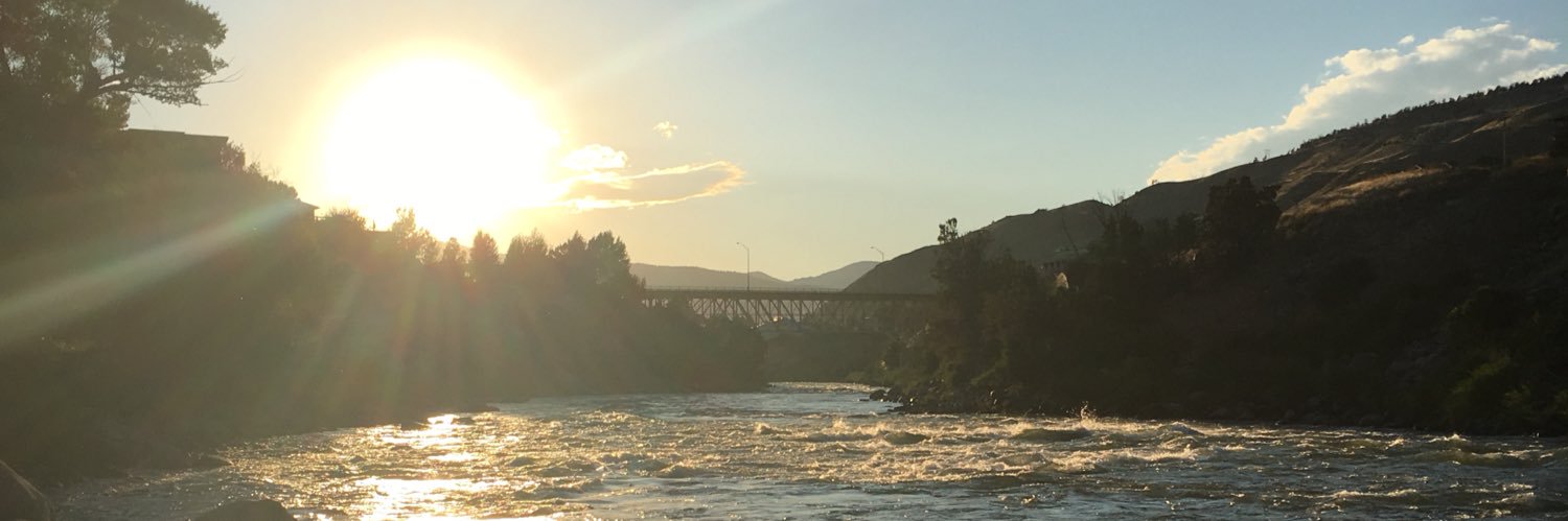 Jennifer Roth banner