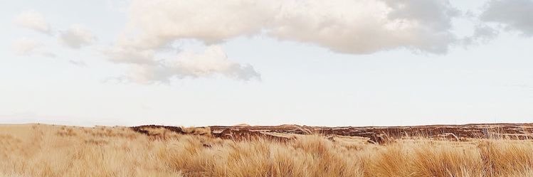 McKenna Bush banner