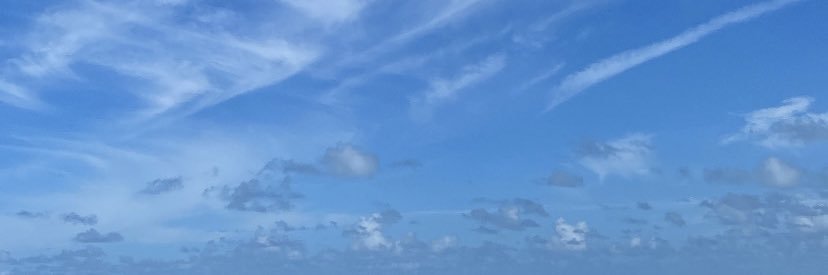 tanairieg's profile banner image