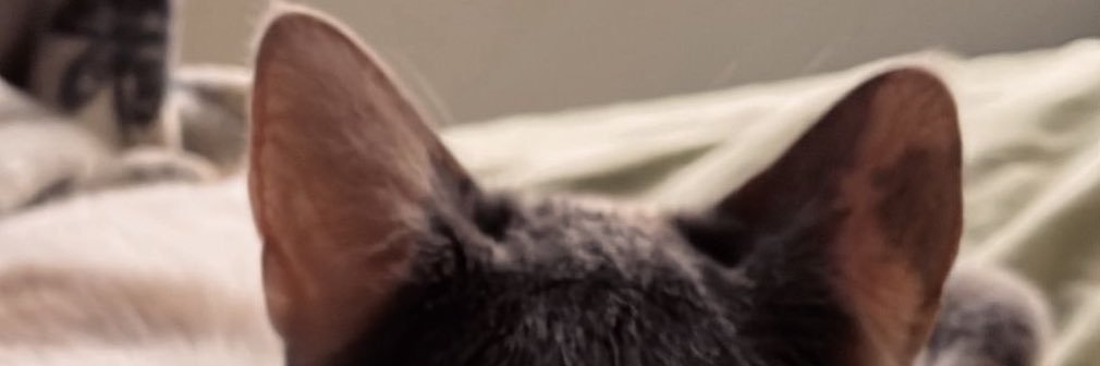 vr97l's profile banner image